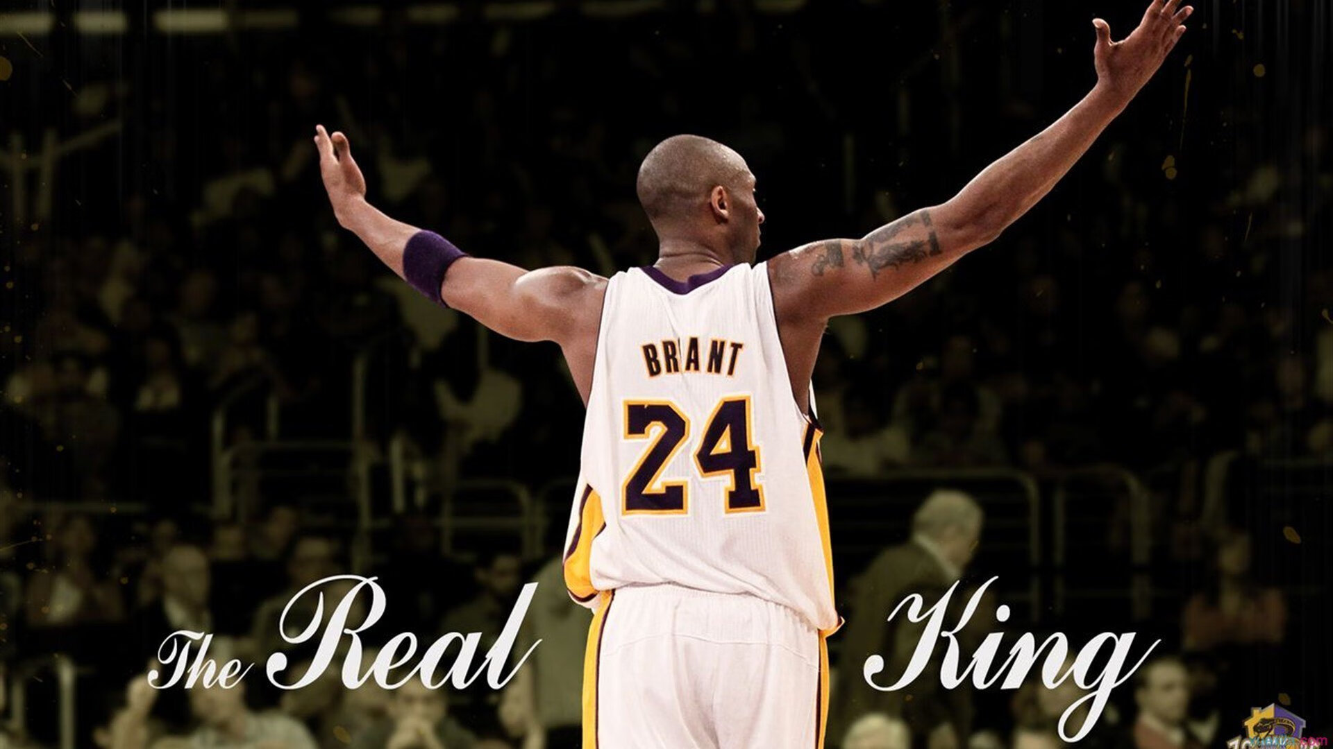 意甲新人亮相赛场,实力赢得认可,意甲新赛季前瞻